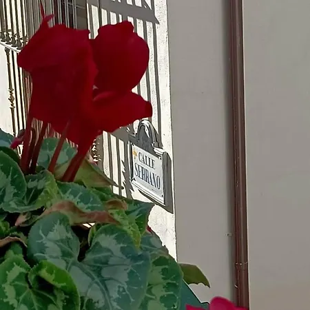 Homestay Entre Dos Aguas *